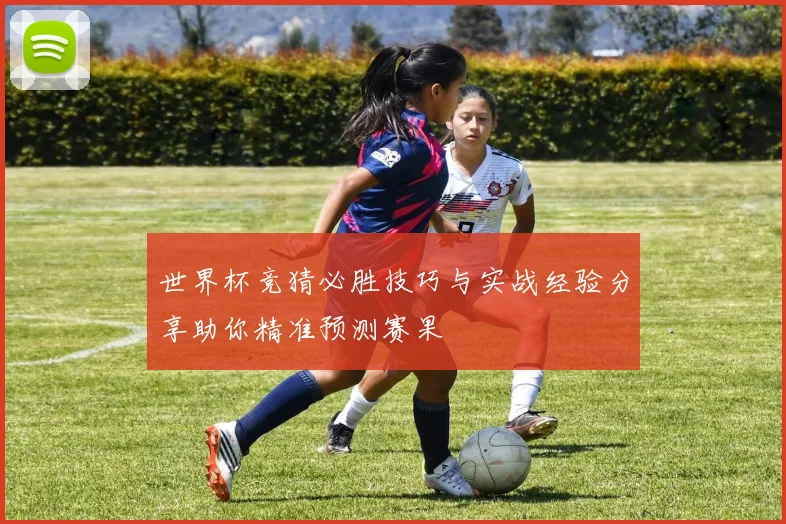 世界杯竞猜必胜技巧与实战经验分享助你精准预测赛果