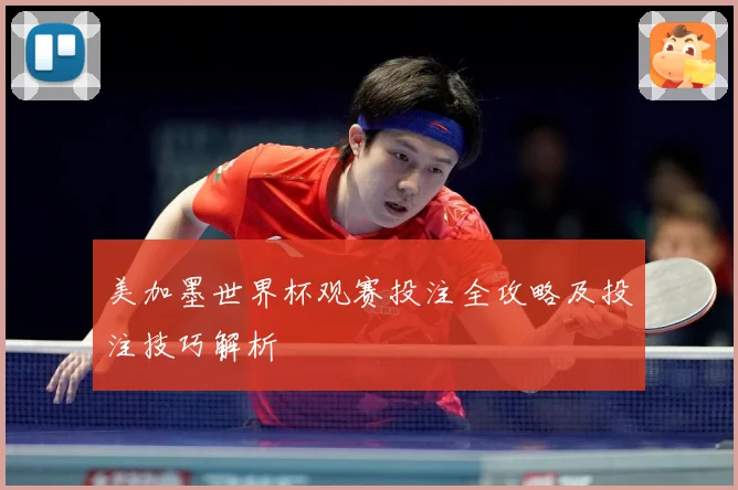 美加墨世界杯观赛投注全攻略及投注技巧解析