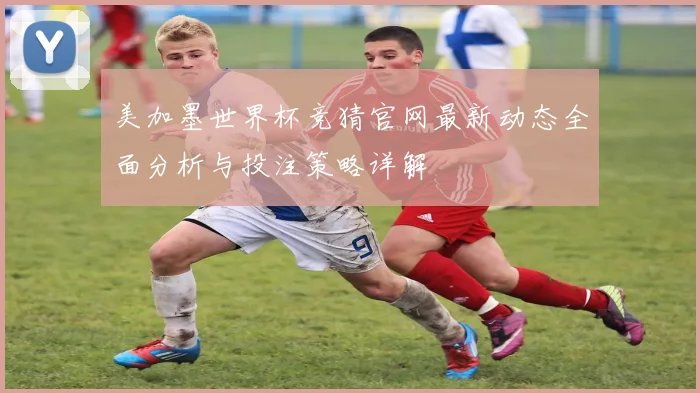 美加墨世界杯竞猜官网最新动态全面分析与投注策略详解