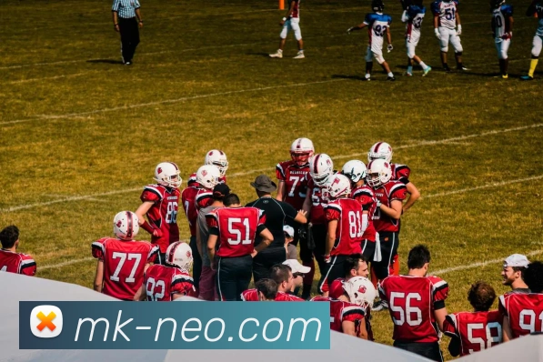 MK体育平台展示图